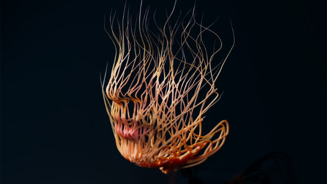 Sak_Portrait_3D_15